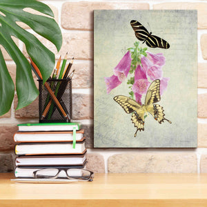 'Butterfly Botanical IV' by Debra Van Swearingen, Canvas Wall Art,12 x 16
