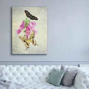 'Butterfly Botanical IV' by Debra Van Swearingen, Canvas Wall Art,40 x 54