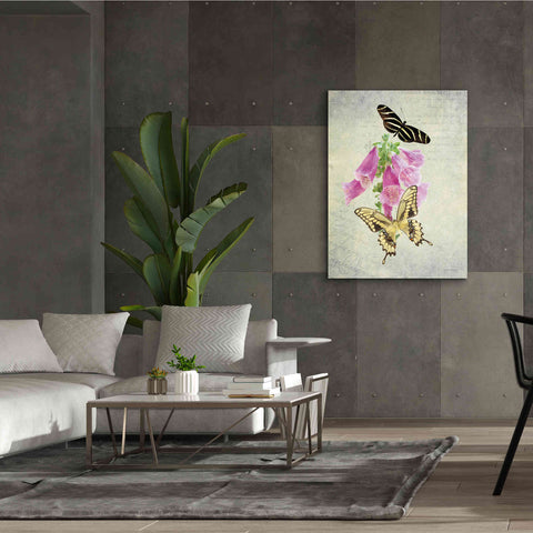Image of 'Butterfly Botanical IV' by Debra Van Swearingen, Canvas Wall Art,40 x 54