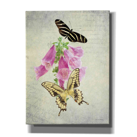 Image of 'Butterfly Botanical IV' by Debra Van Swearingen, Canvas Wall Art,12x16x1.1x0,20x24x1.1x0,26x30x1.74x0,40x54x1.74x0