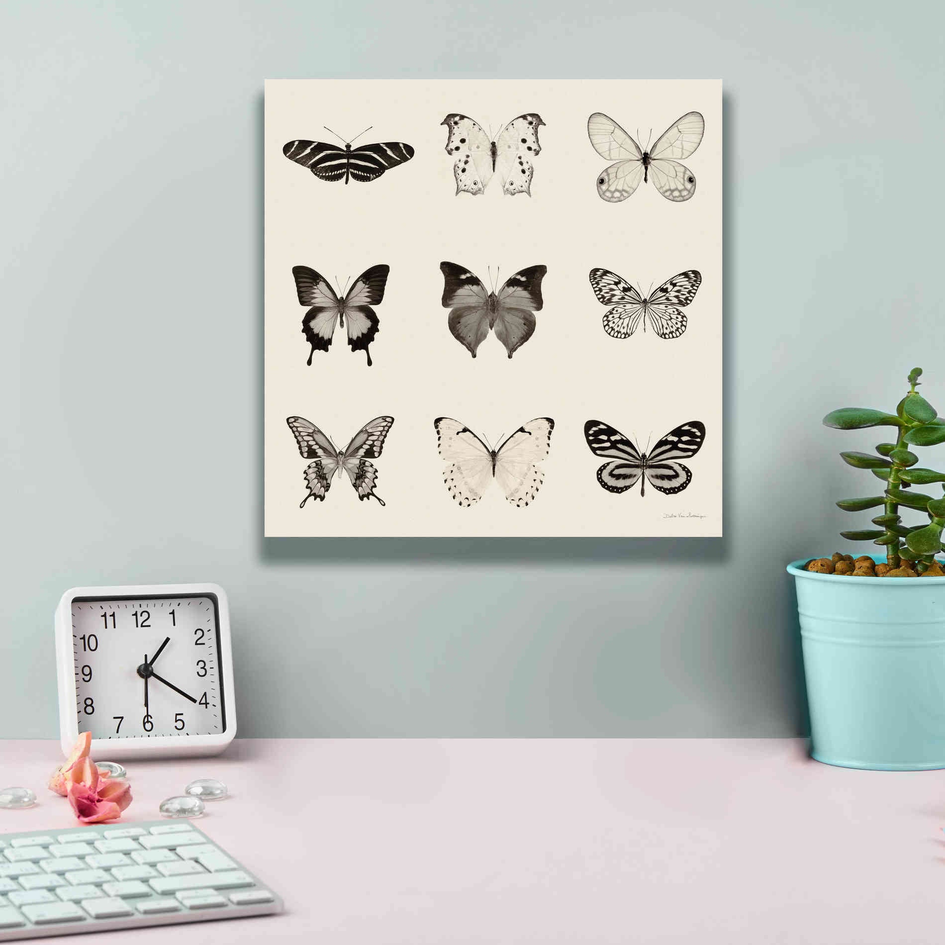 'Butterfly BW 9 Patch' by Debra Van Swearingen, Canvas Wall Art,12 x 12