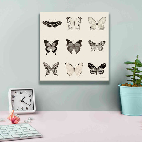 Image of 'Butterfly BW 9 Patch' by Debra Van Swearingen, Canvas Wall Art,12 x 12