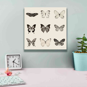 'Butterfly BW 9 Patch' by Debra Van Swearingen, Canvas Wall Art,12 x 12