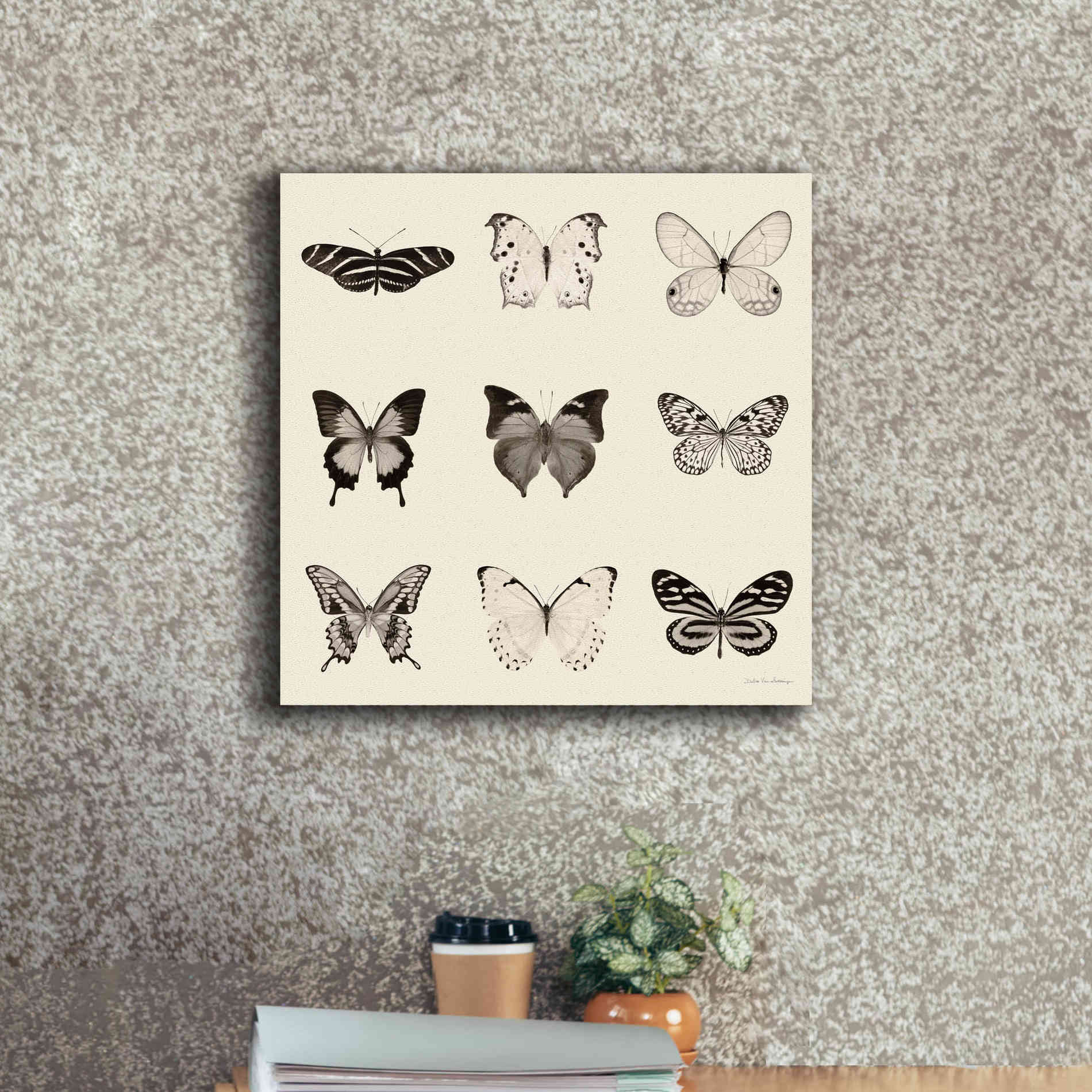 'Butterfly BW 9 Patch' by Debra Van Swearingen, Canvas Wall Art,18 x 18