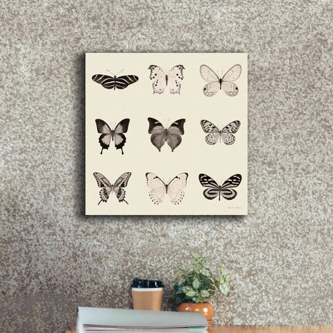 Image of 'Butterfly BW 9 Patch' by Debra Van Swearingen, Canvas Wall Art,18 x 18