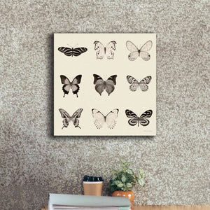 'Butterfly BW 9 Patch' by Debra Van Swearingen, Canvas Wall Art,18 x 18