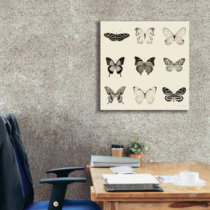'Butterfly BW 9 Patch' by Debra Van Swearingen, Canvas Wall Art,26 x 26