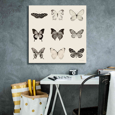 Image of 'Butterfly BW 9 Patch' by Debra Van Swearingen, Canvas Wall Art,26 x 26