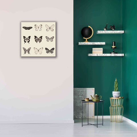 Image of 'Butterfly BW 9 Patch' by Debra Van Swearingen, Canvas Wall Art,26 x 26