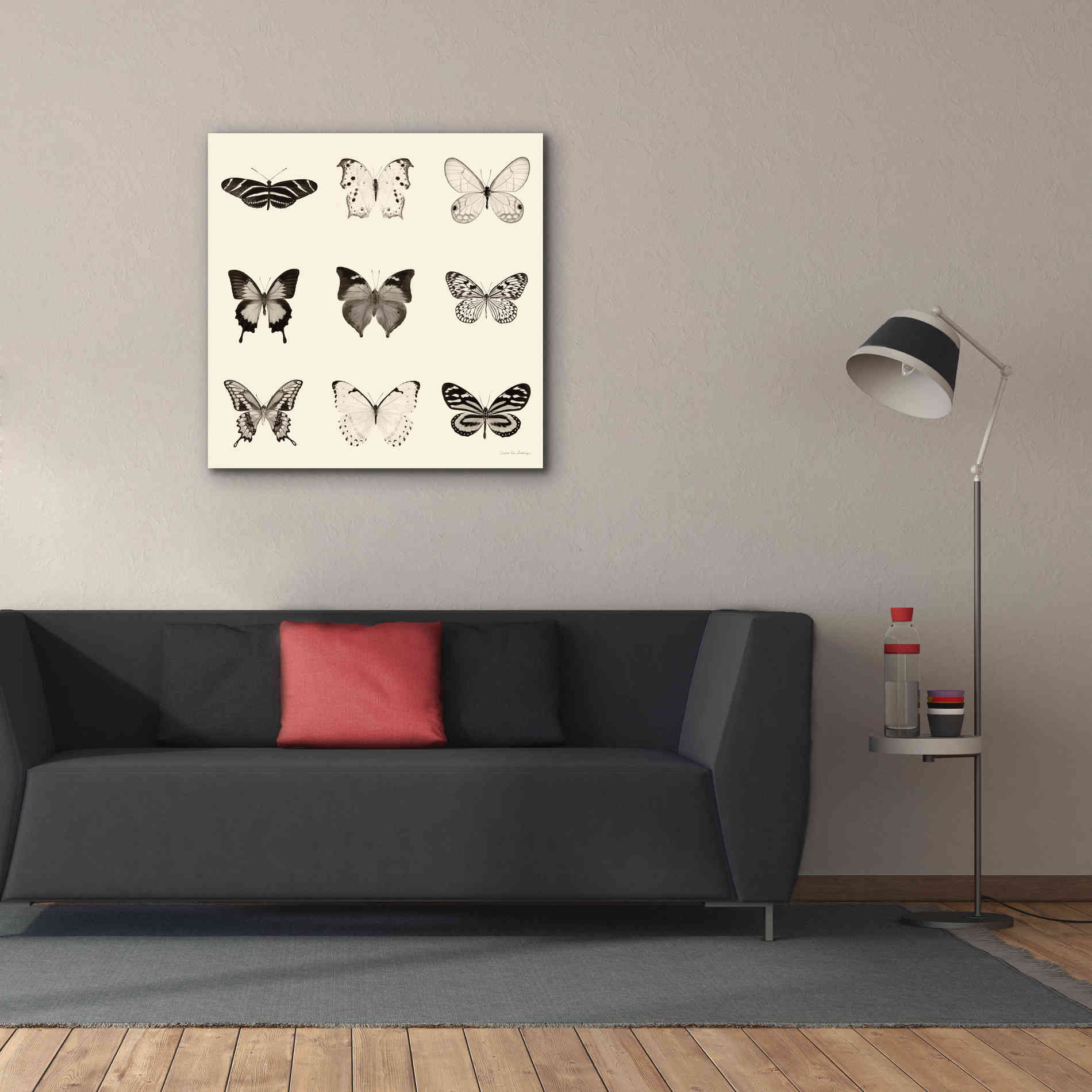 'Butterfly BW 9 Patch' by Debra Van Swearingen, Canvas Wall Art,37 x 37