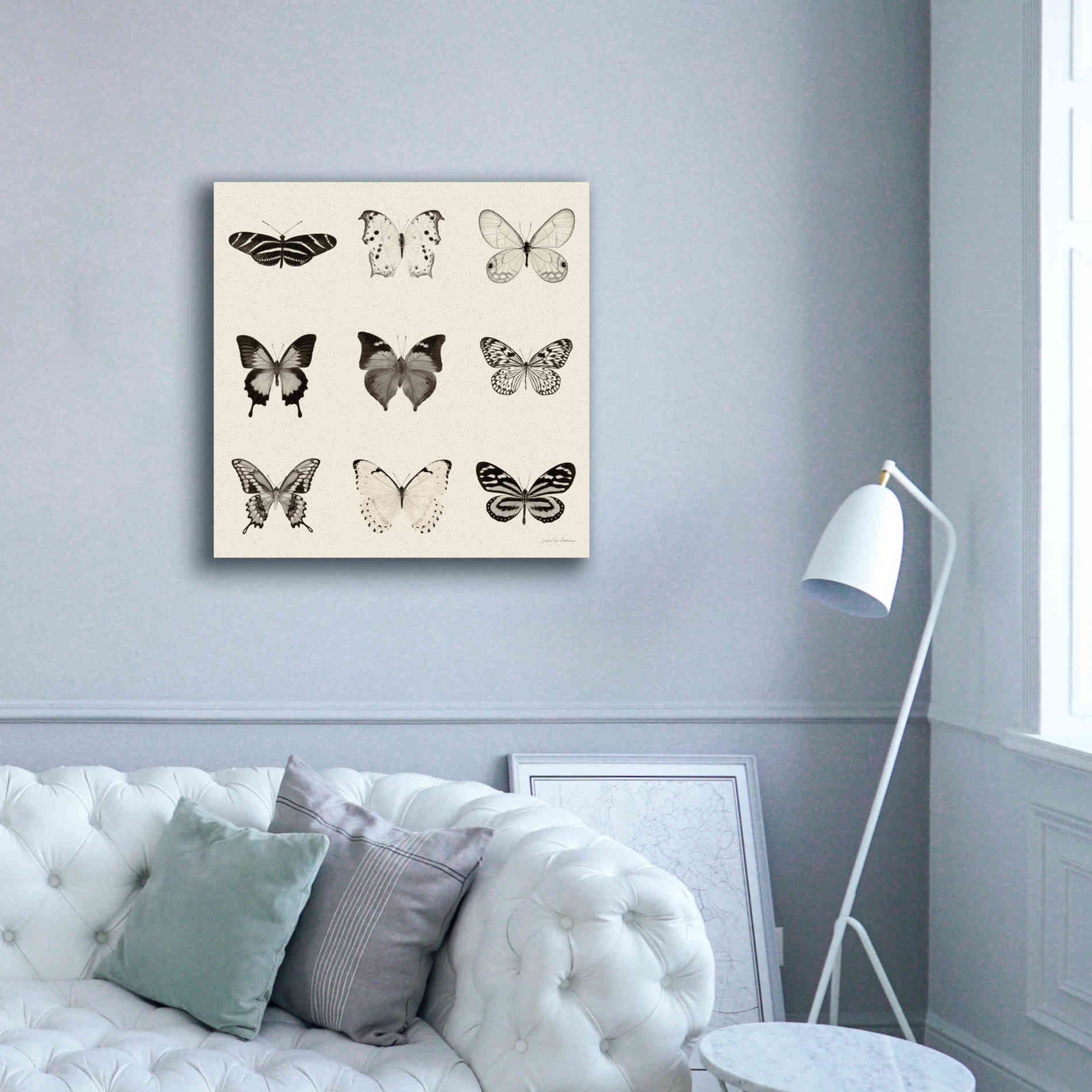 'Butterfly BW 9 Patch' by Debra Van Swearingen, Canvas Wall Art,37 x 37