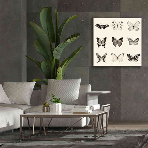 Image of 'Butterfly BW 9 Patch' by Debra Van Swearingen, Canvas Wall Art,37 x 37