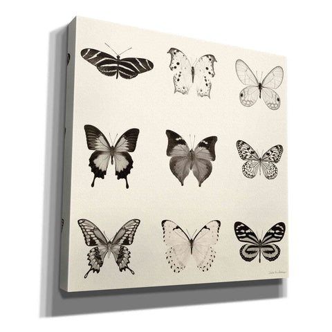 Image of 'Butterfly BW 9 Patch' by Debra Van Swearingen, Canvas Wall Art,12x12x1.1x0,18x18x1.1x0,26x26x1.74x0,37x37x1.74x0