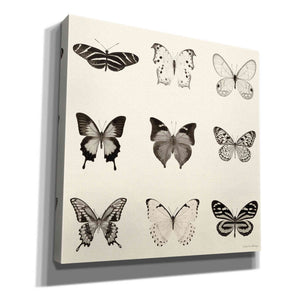 'Butterfly BW 9 Patch' by Debra Van Swearingen, Canvas Wall Art,12x12x1.1x0,18x18x1.1x0,26x26x1.74x0,37x37x1.74x0