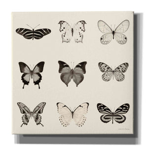 'Butterfly BW 9 Patch' by Debra Van Swearingen, Canvas Wall Art,12x12x1.1x0,18x18x1.1x0,26x26x1.74x0,37x37x1.74x0