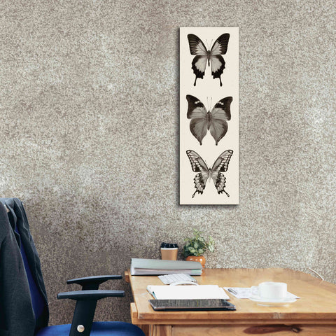 Image of 'Butterfly BW Panel I' by Debra Van Swearingen, Canvas Wall Art,12 x 36