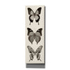 'Butterfly BW Panel I' by Debra Van Swearingen, Canvas Wall Art,12x36x1.74x0,20x60x1.74x0