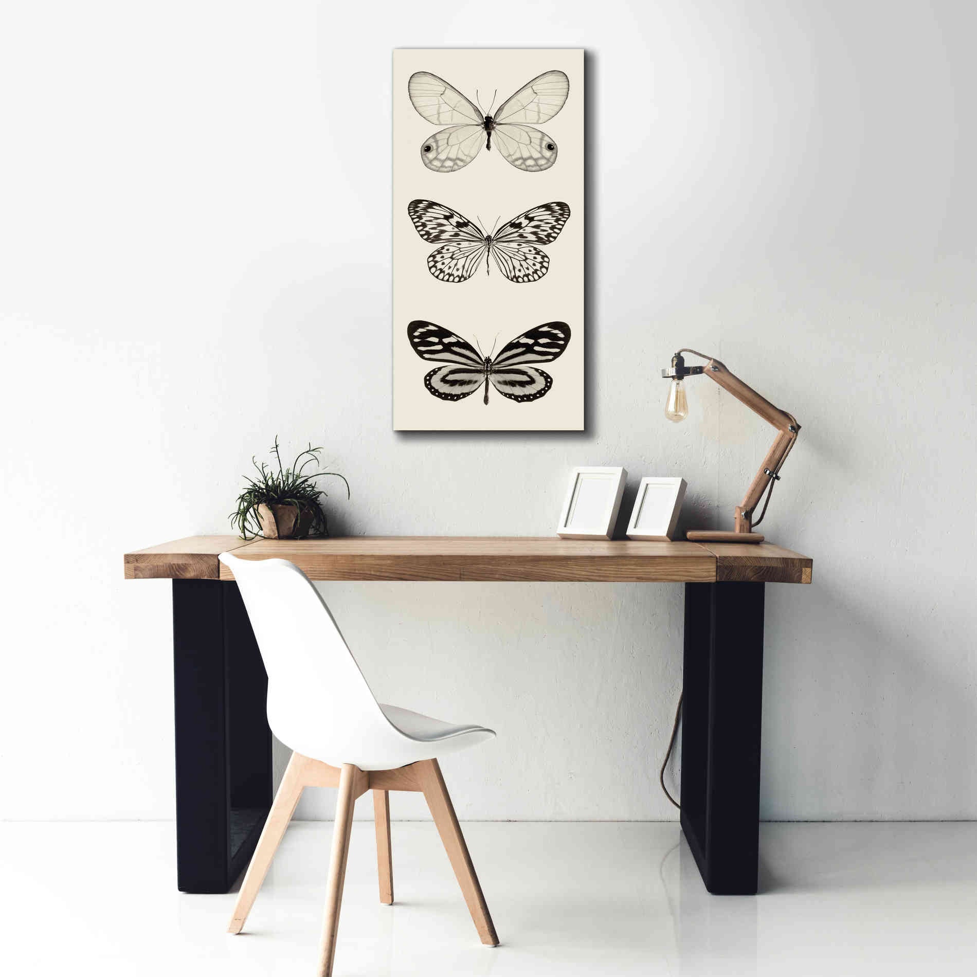 'Butterfly BW Panel II' by Debra Van Swearingen, Canvas Wall Art,20 x 40