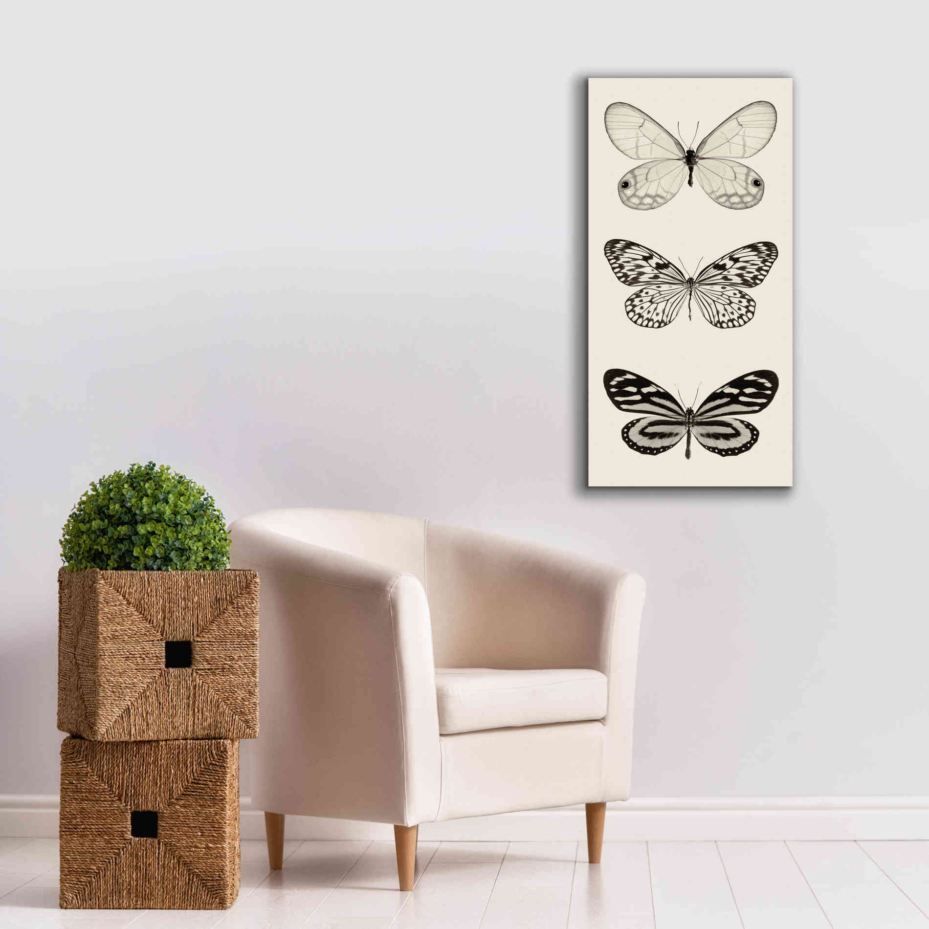 'Butterfly BW Panel II' by Debra Van Swearingen, Canvas Wall Art,20 x 40