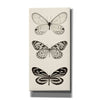 'Butterfly BW Panel II' by Debra Van Swearingen, Canvas Wall Art,12x24x1.1x0,20x40x1.74x0,30x60x1.74x0