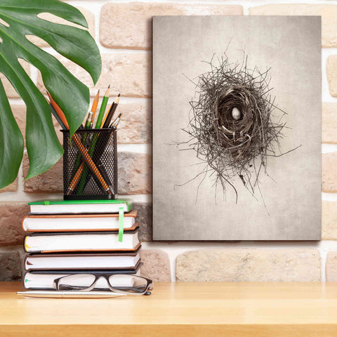 Image of 'Nest I' by Debra Van Swearingen, Canvas Wall Art,12 x 16