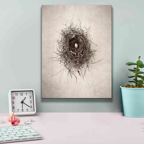 Image of 'Nest I' by Debra Van Swearingen, Canvas Wall Art,12 x 16