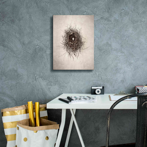 Image of 'Nest I' by Debra Van Swearingen, Canvas Wall Art,12 x 16