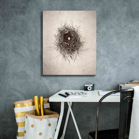 Image of 'Nest I' by Debra Van Swearingen, Canvas Wall Art,20 x 24