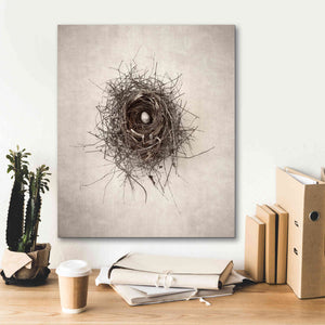 'Nest I' by Debra Van Swearingen, Canvas Wall Art,20 x 24