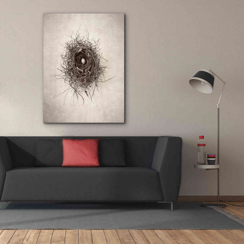 Image of 'Nest I' by Debra Van Swearingen, Canvas Wall Art,40 x 54