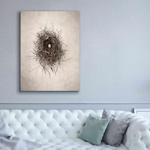 Image of 'Nest I' by Debra Van Swearingen, Canvas Wall Art,40 x 54