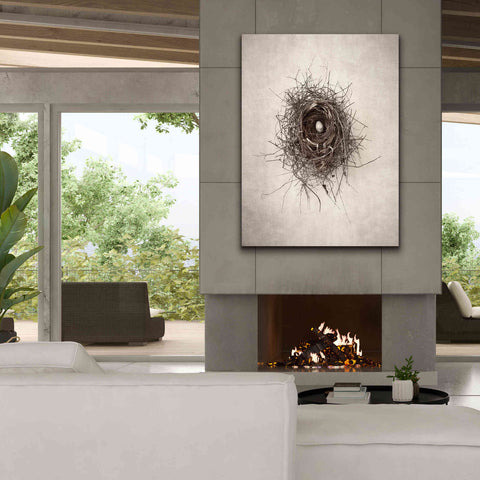 Image of 'Nest I' by Debra Van Swearingen, Canvas Wall Art,40 x 54