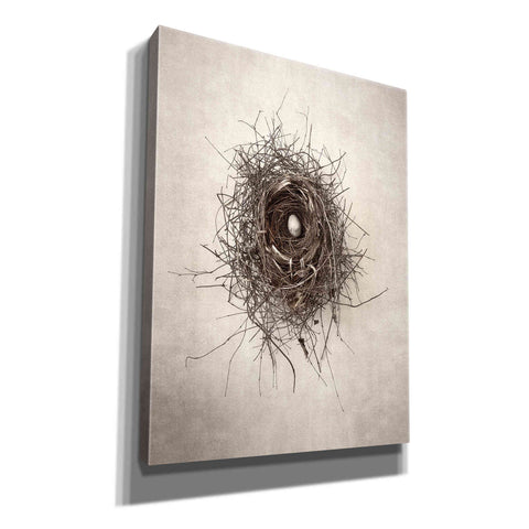 Image of 'Nest I' by Debra Van Swearingen, Canvas Wall Art,12x16x1.1x0,20x24x1.1x0,26x30x1.74x0,40x54x1.74x0