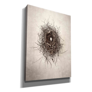 'Nest I' by Debra Van Swearingen, Canvas Wall Art,12x16x1.1x0,20x24x1.1x0,26x30x1.74x0,40x54x1.74x0