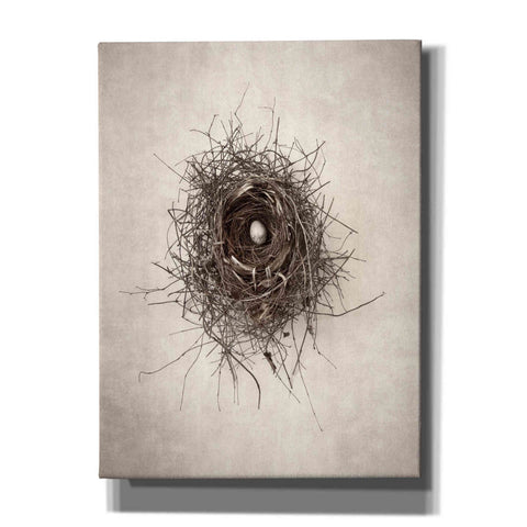 Image of 'Nest I' by Debra Van Swearingen, Canvas Wall Art,12x16x1.1x0,20x24x1.1x0,26x30x1.74x0,40x54x1.74x0