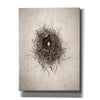 'Nest I' by Debra Van Swearingen, Canvas Wall Art,12x16x1.1x0,20x24x1.1x0,26x30x1.74x0,40x54x1.74x0