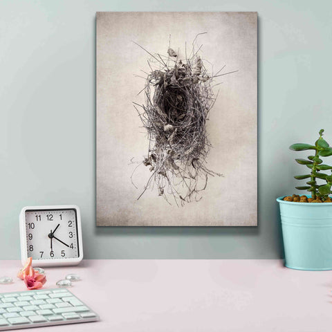 Image of 'Nest II' by Debra Van Swearingen, Canvas Wall Art,12 x 16