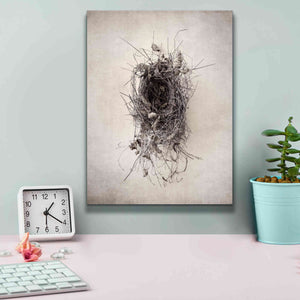 'Nest II' by Debra Van Swearingen, Canvas Wall Art,12 x 16