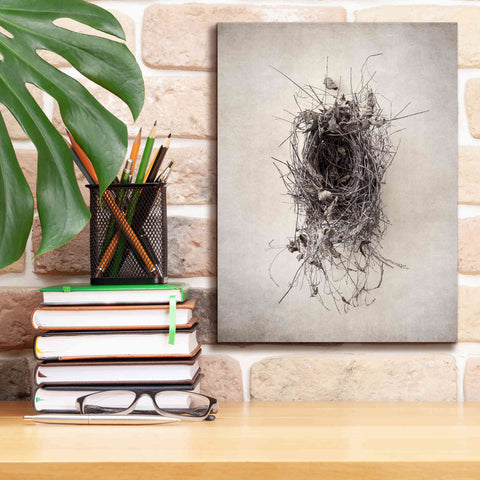 Image of 'Nest II' by Debra Van Swearingen, Canvas Wall Art,12 x 16