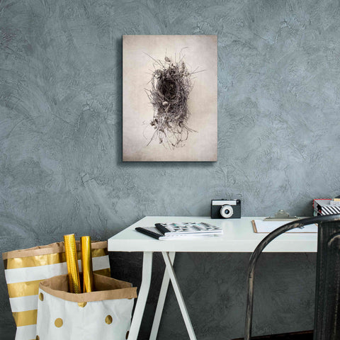 Image of 'Nest II' by Debra Van Swearingen, Canvas Wall Art,12 x 16