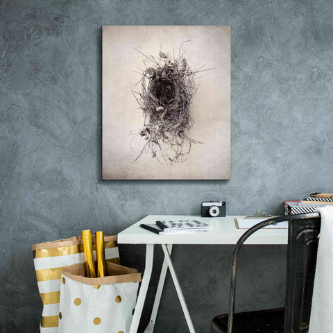 Image of 'Nest II' by Debra Van Swearingen, Canvas Wall Art,20 x 24