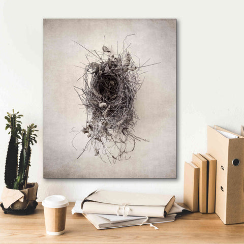 Image of 'Nest II' by Debra Van Swearingen, Canvas Wall Art,20 x 24