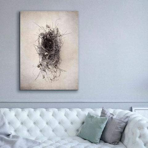 Image of 'Nest II' by Debra Van Swearingen, Canvas Wall Art,40 x 54