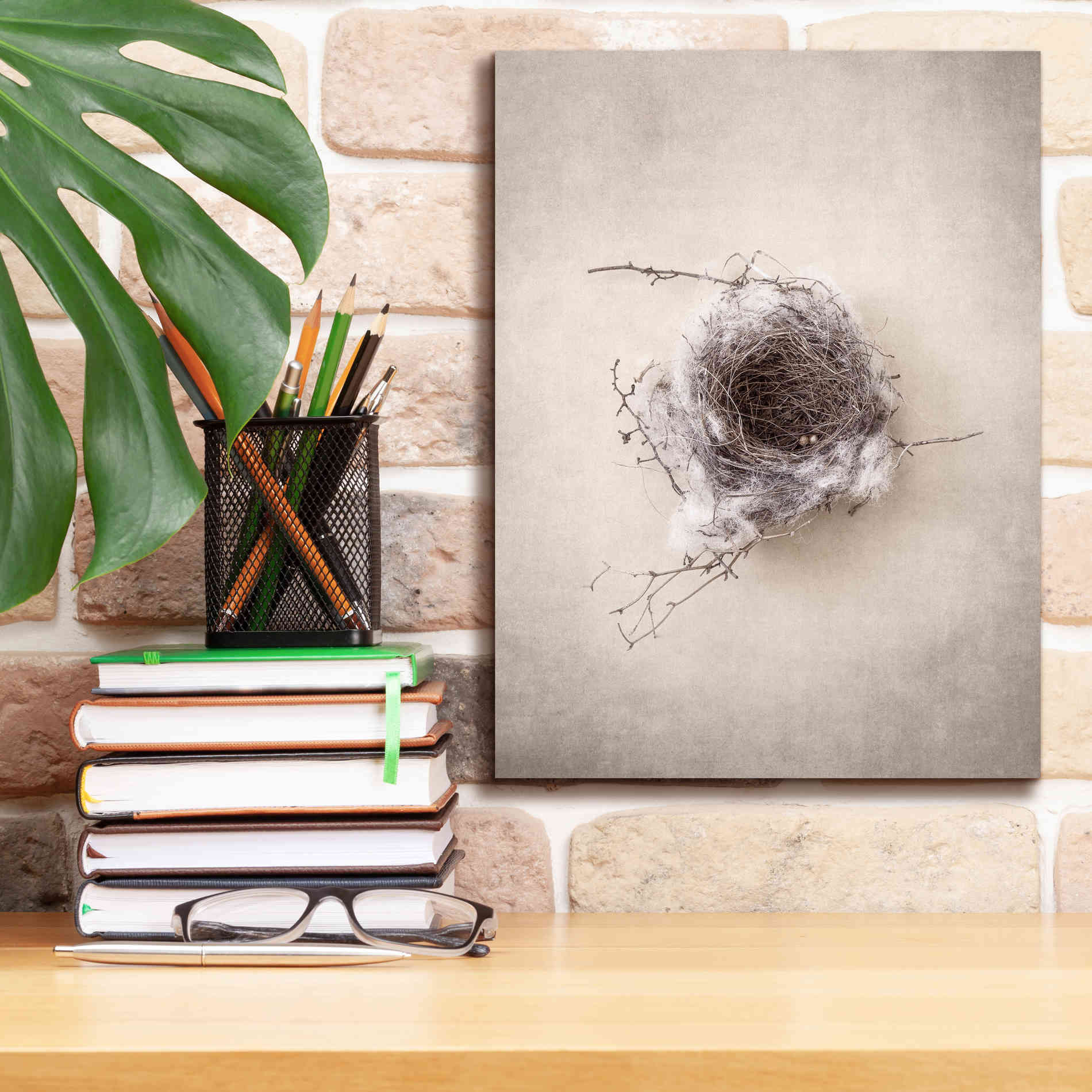 'Nest III' by Debra Van Swearingen, Canvas Wall Art,12 x 16
