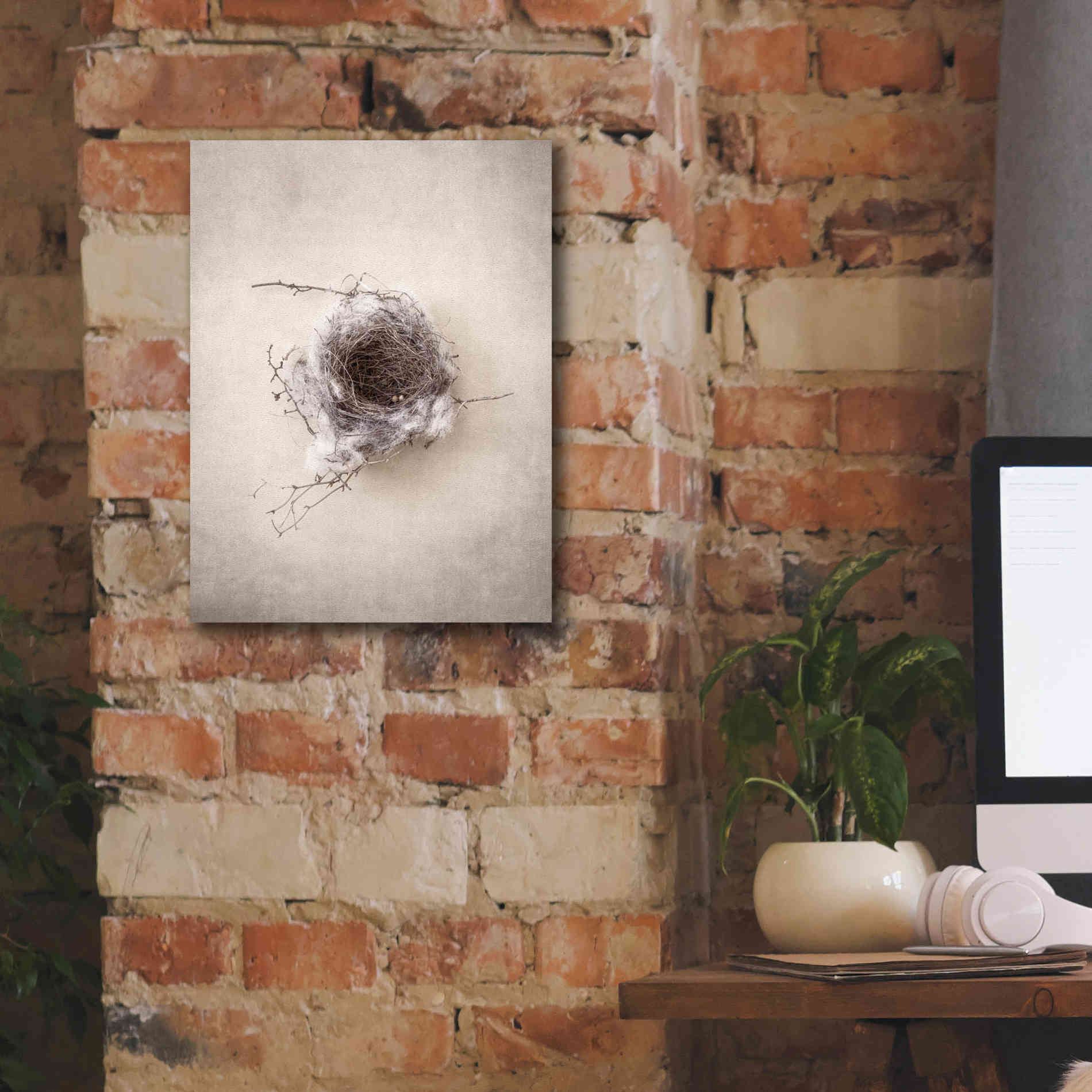 'Nest III' by Debra Van Swearingen, Canvas Wall Art,12 x 16