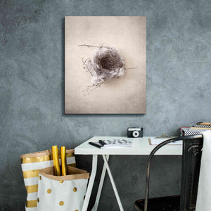 'Nest III' by Debra Van Swearingen, Canvas Wall Art,20 x 24