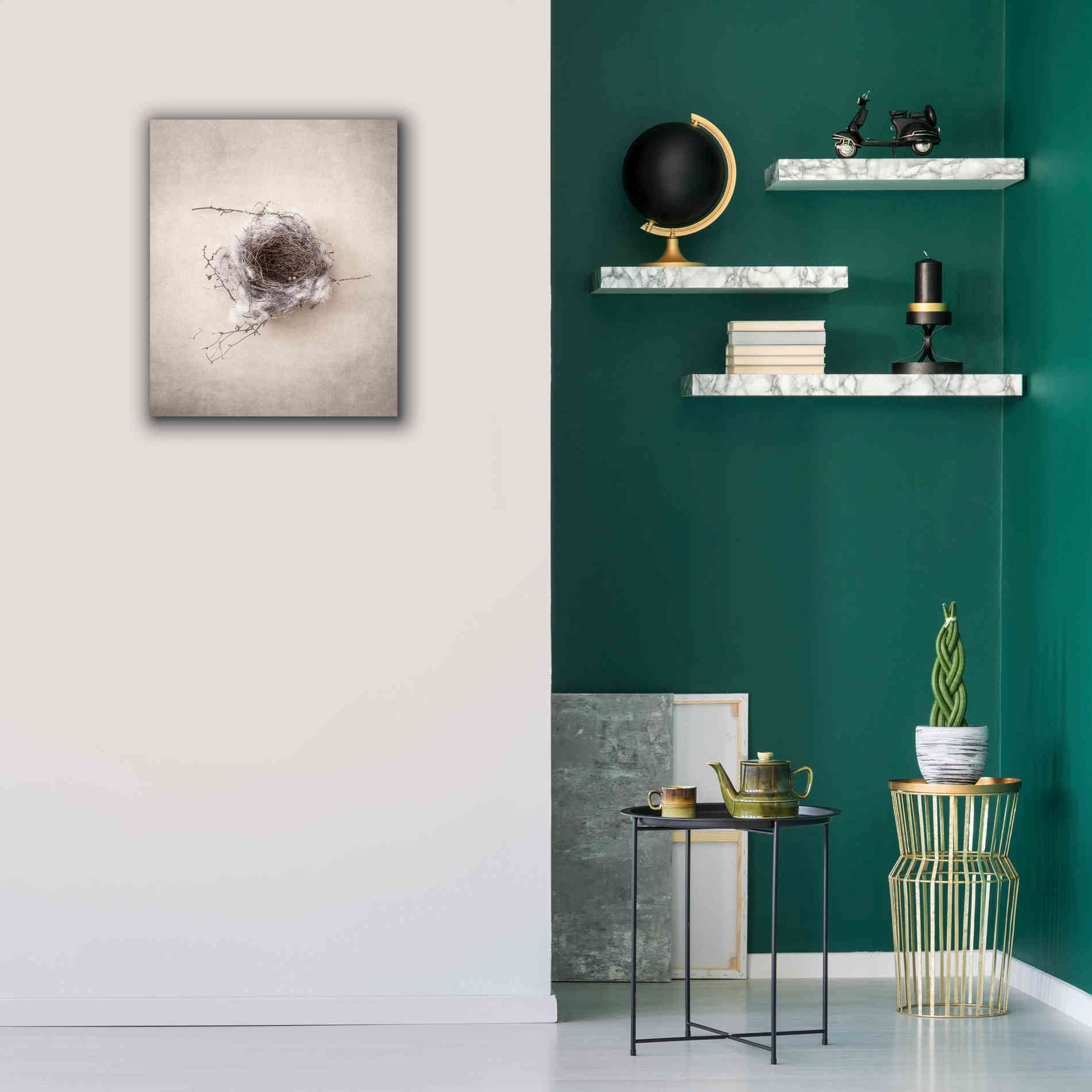 'Nest III' by Debra Van Swearingen, Canvas Wall Art,20 x 24