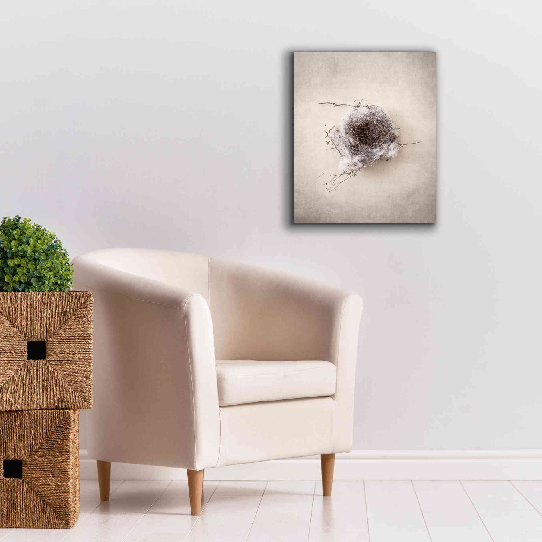 'Nest III' by Debra Van Swearingen, Canvas Wall Art,20 x 24