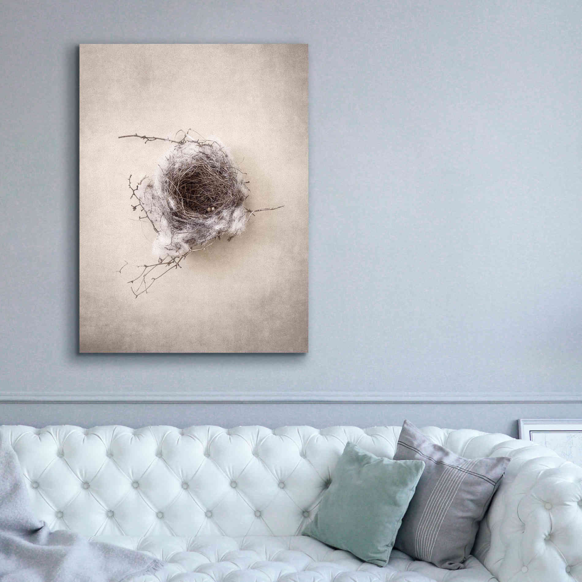'Nest III' by Debra Van Swearingen, Canvas Wall Art,40 x 54
