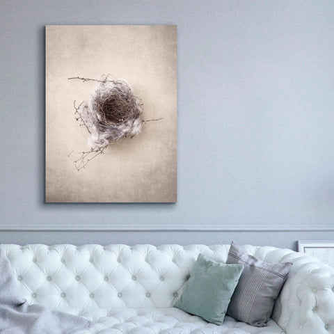 Image of 'Nest III' by Debra Van Swearingen, Canvas Wall Art,40 x 54